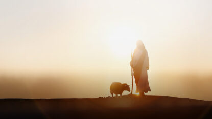 Not Finished in the Dark (Donor) | 122089